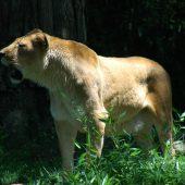  National Zoo